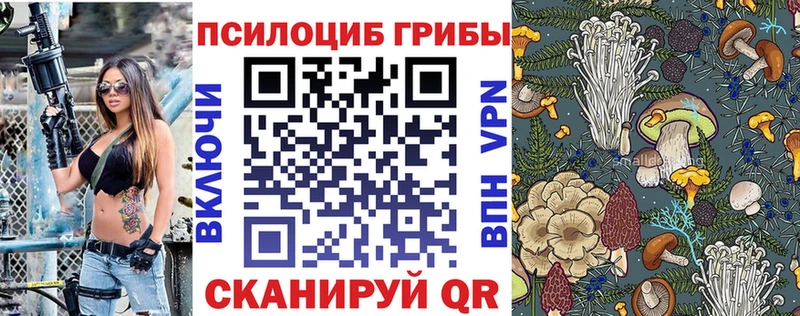 купить наркотики сайты  Уржум  Галлюциногенные грибы Cubensis 